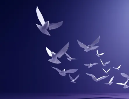 Webinar “Naar een complexloos Liberalisme” – met Lawrence Vanhove (5)