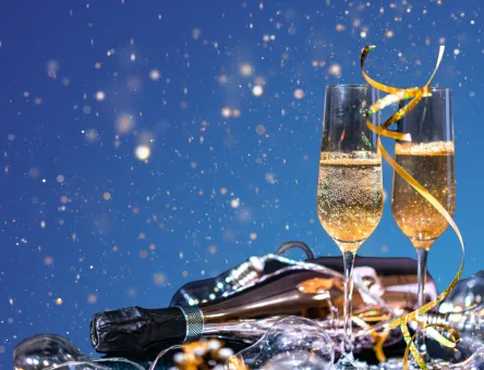 Nieuwjaarsreceptie 🔵Anders.Stad Antwerpen